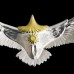【NEW】K18 Head Eagle Necklace Pendant Top Medium / LA KEY